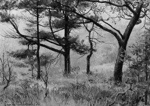 Autumn Woods by Charles Abel Corwin