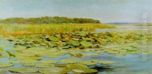 Waterlilies