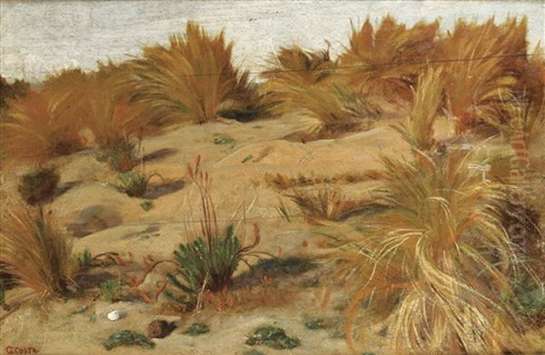 Paysage De Dune - view 1