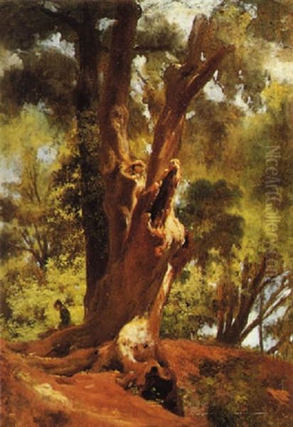 Albero E Figura - view 1