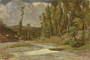 Veduta Di Un Torrente Circondato Da Gruppi Di Pioppi