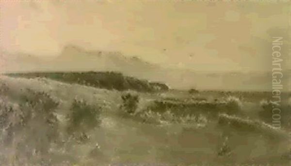 An Extensive Landscape - view 1