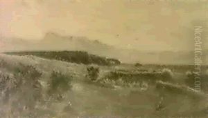 An Extensive Landscape An Extensive Landscape