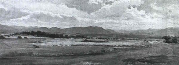 Wild Horses In The Roman Campagna - view 1