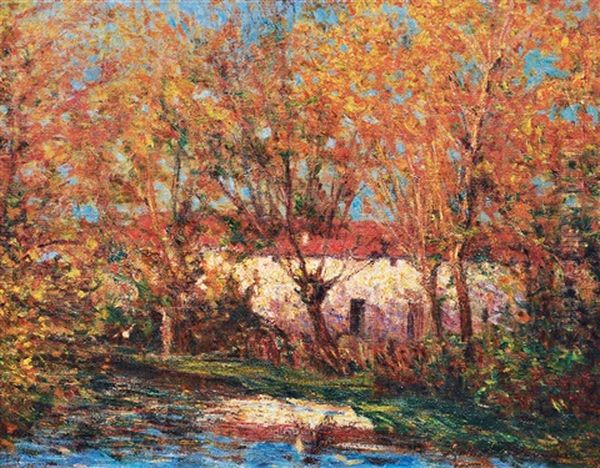 Sunny Autumn - view 1