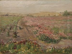 Flower Fields Flower Fields