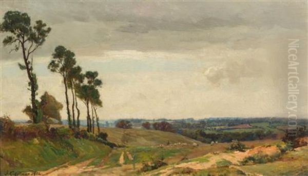 Greeting St. Muray Looking Towards Ipswich - view 1