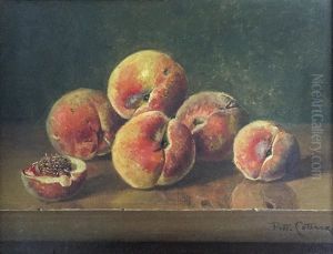 Peaches by Petrus Johannes M. (Piet) Cottaar