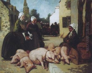 Marche Aux Cochons En Bretagne