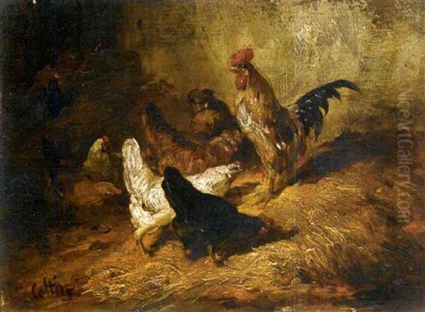 Coq Et Poules - view 1