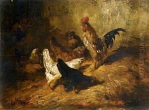 Coq Et Poules Coq Et Poules