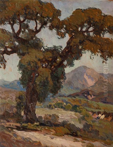 Old Oak Near Banning - view 1