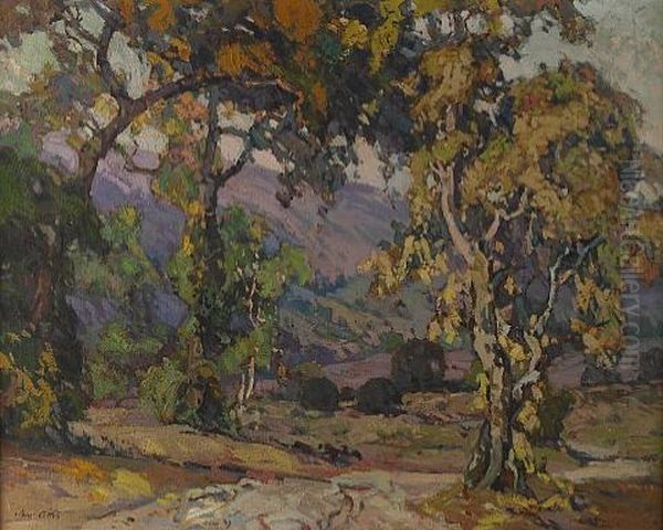Summer Landscape - view 1