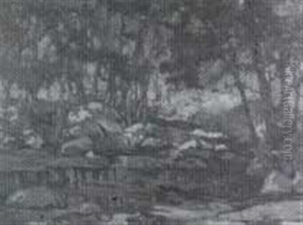 Shadowed Brook - view 1