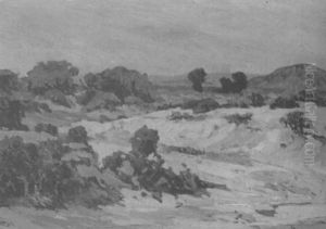 Near The Salton Sea by John Wesley Cotton