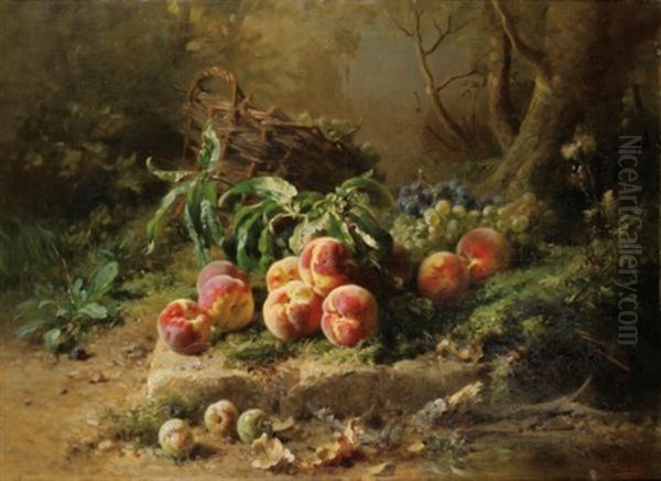 Peches Et Panier De Raisin Dans Un Sous-bois - view 1