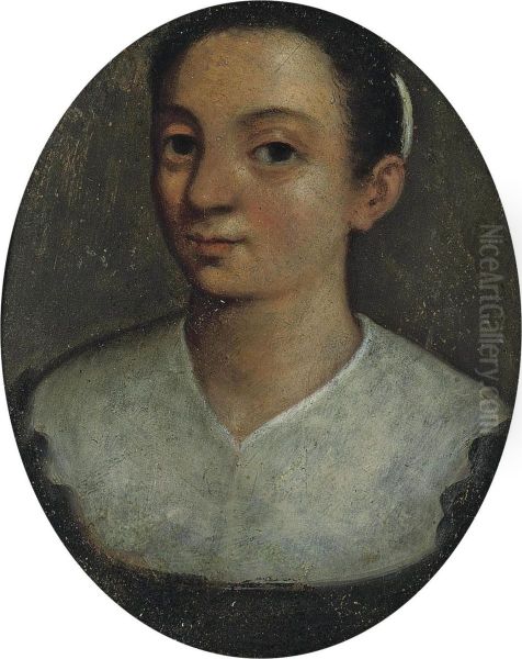 Portrait Of A Lady - view 1