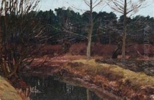 Wasser Vor Dunklem Wald