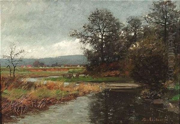 Herbstliche Auenlandschaft Unter Bewolkten Himmel - view 1