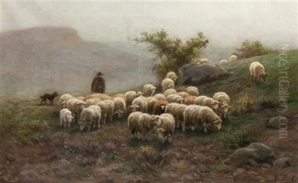 Sheep Grazing In A Landscape - view 1