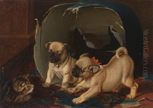Friend Or Foe (two Pugs Playing With A Kitten) - view 1