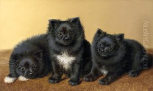 A Trio Of Pomeranians by Horatio Henry Couldery