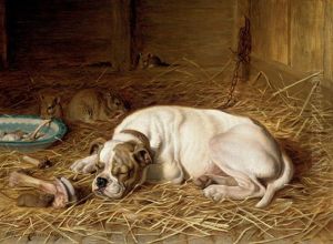 Caught Napping by Horatio Henry Couldery