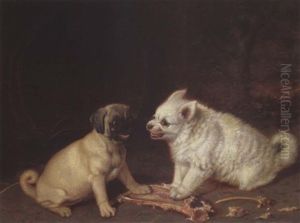 Ein Begehrter Knochen by Horatio Henry Couldery