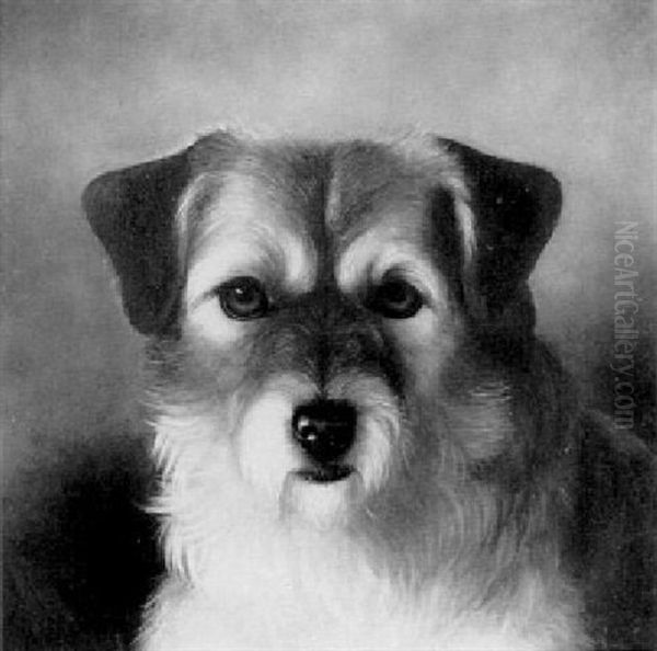 The Head Of A Terrier - view 1