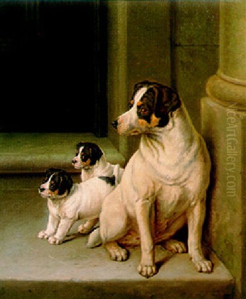 Jack Russell And Puppies - view 1