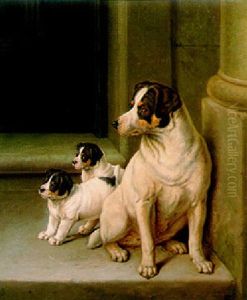 Jack Russell And Puppies