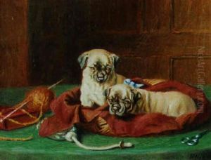 Pugs by Horatio Henry Couldery