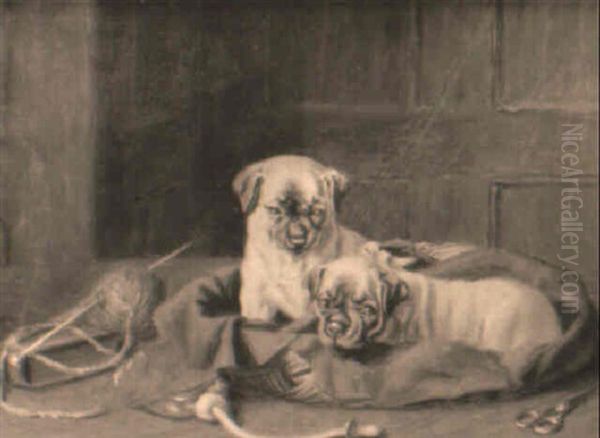The Dog Basket - view 1