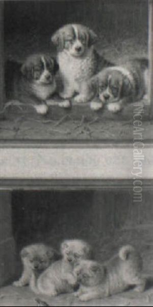 Cachorros - view 1