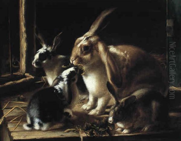 Rabbits - view 1