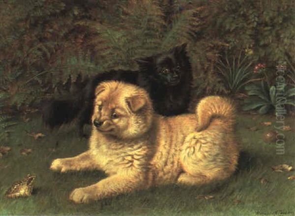 The Intruder; Chow Puppies And A Frog - view 1