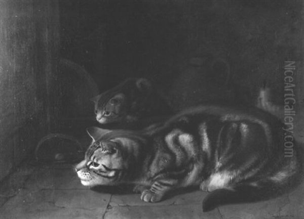 Cat And Mouse - view 1