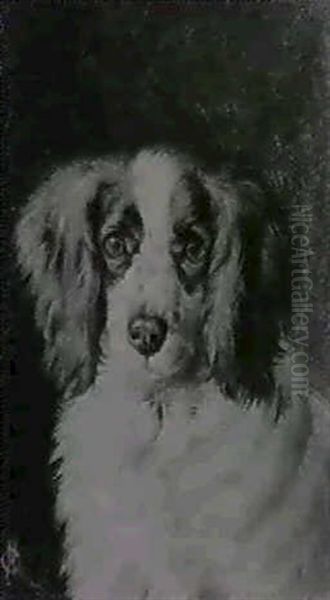 Two: 1.study Of A Spaniel's Head 2.study Of A Cat (10.5x9) - view 1