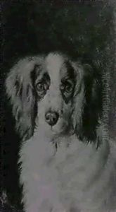 Two: 1.study Of A Spaniel's Head 2.study Of A Cat (10.5x9) by Horatio Henry Couldery