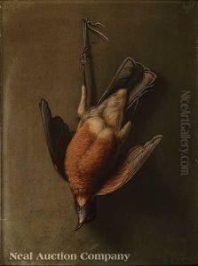 Nature Morte: Male Robin, Louisiana Bird Painted From Nature by George David Coulon