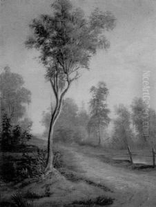 Country Path Along A Bayou by George David Coulon