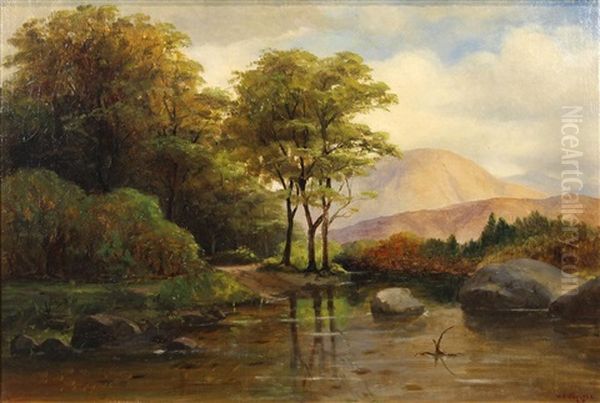 A Quiet Brook - view 1