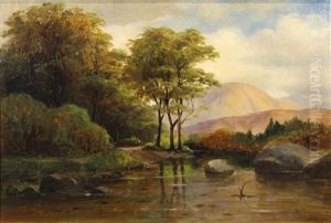 A Quiet Brook