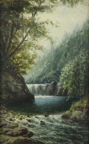 Near Skagg's Springs - view 1