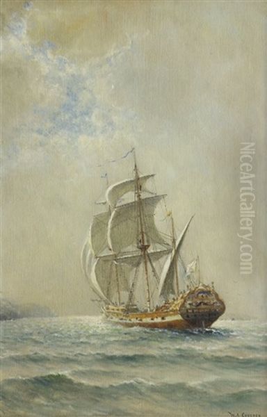 Ship At Full Mast - view 1