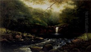 A Pool And Falls In A Summer Forest