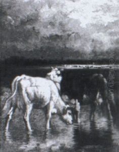 Cows Drinking In A Marsh