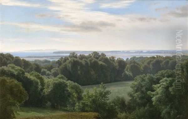 Sommerliche Buchtlandschaft Bei Begtrup In Arhus - view 1