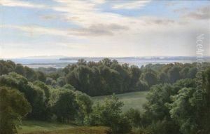 Sommerliche Buchtlandschaft Bei Begtrup In Arhus