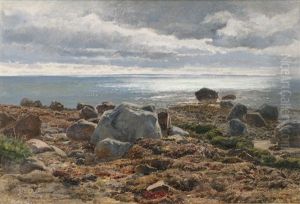 Steiniger Strand